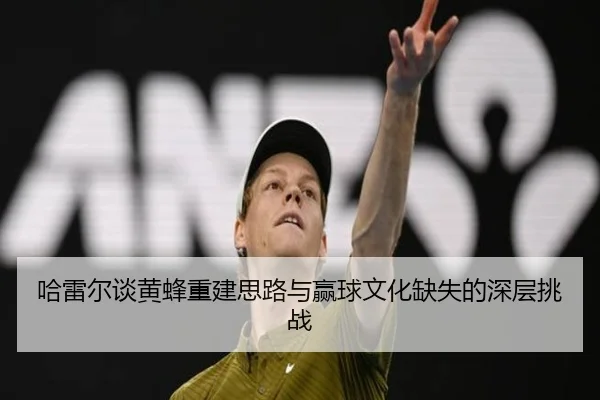 哈雷尔谈黄蜂重建思路与赢球文化缺失的深层挑战